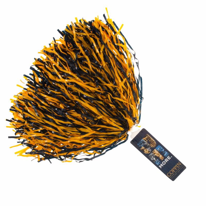 6" Spirit Stick, Plastic Streamers