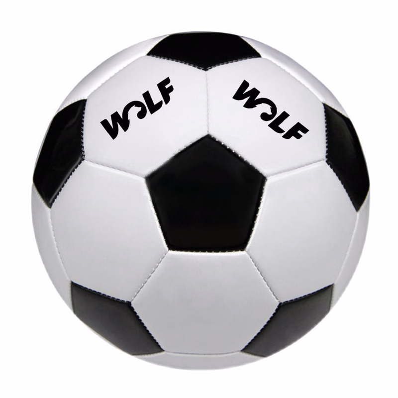 Size 2 Soccer Ball