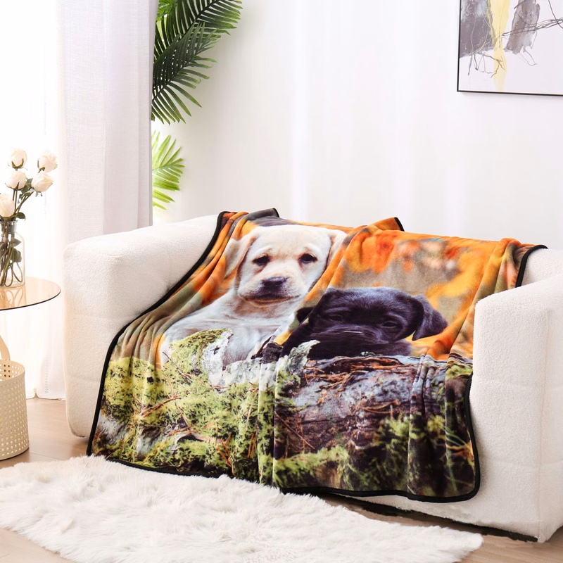 Sublimation Print Throw Blanket 50x60 Inches