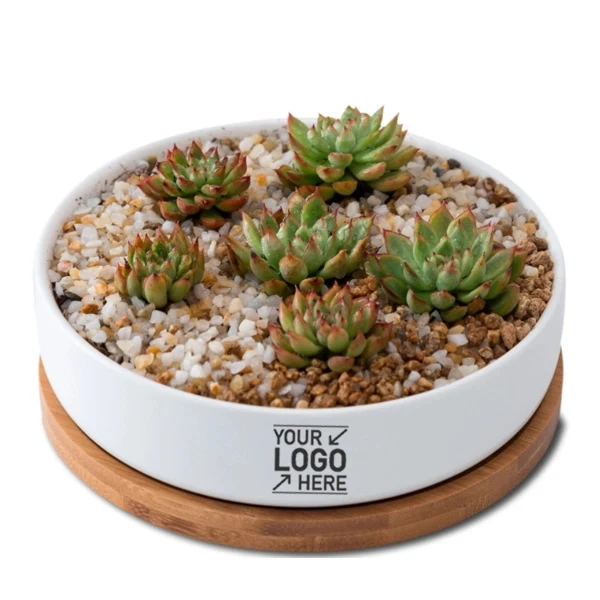 6 Inch White Ceramic?lanter Pots With Bamboo Tray 1