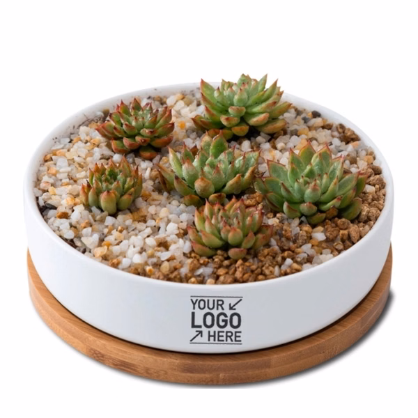 6 Inch White Ceramic?lanter Pots With Bamboo Tray