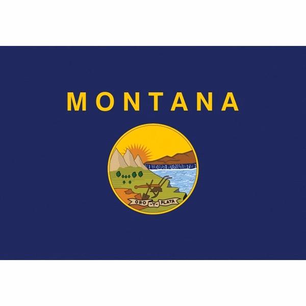 Montana Official Car Flag