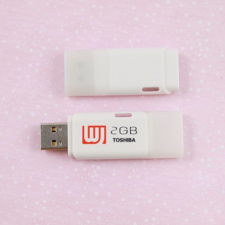 ABS Plastic Popular 2GB USB Disk USB Flash Drives
