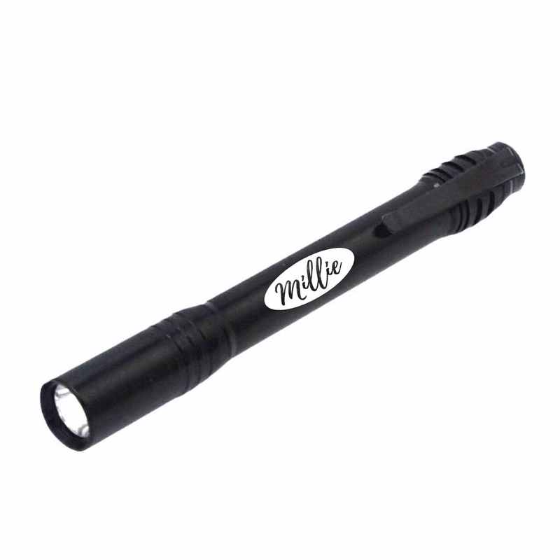 Stylus Penlight LED AAA Battery-Powered Flashlight