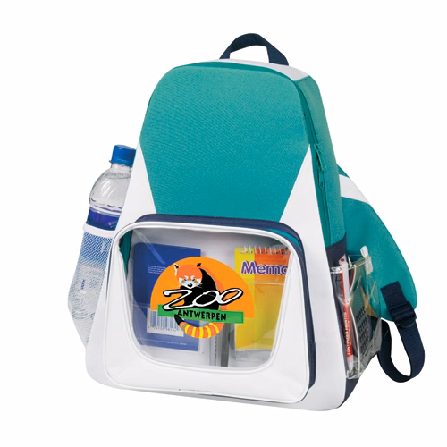 Significant Clear Backpack