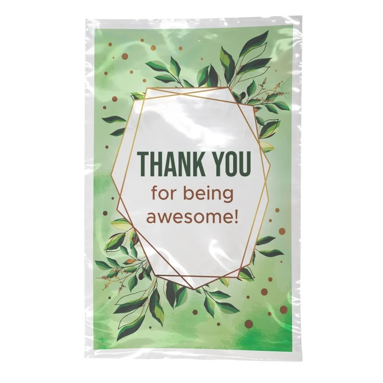 Digital Full Color 1-Sided Open Ended Clear Plastic Bag (6"x9") 1