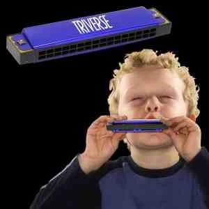 Blue Bee Metal Harmonica(Pad Print) 1