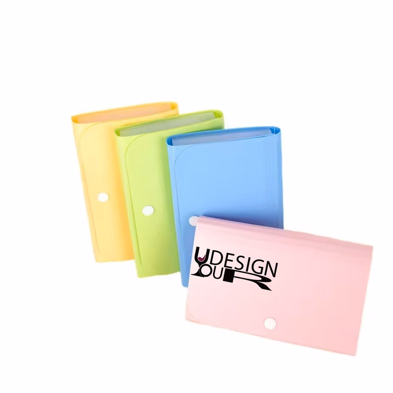 Accordion Billfold Organizer