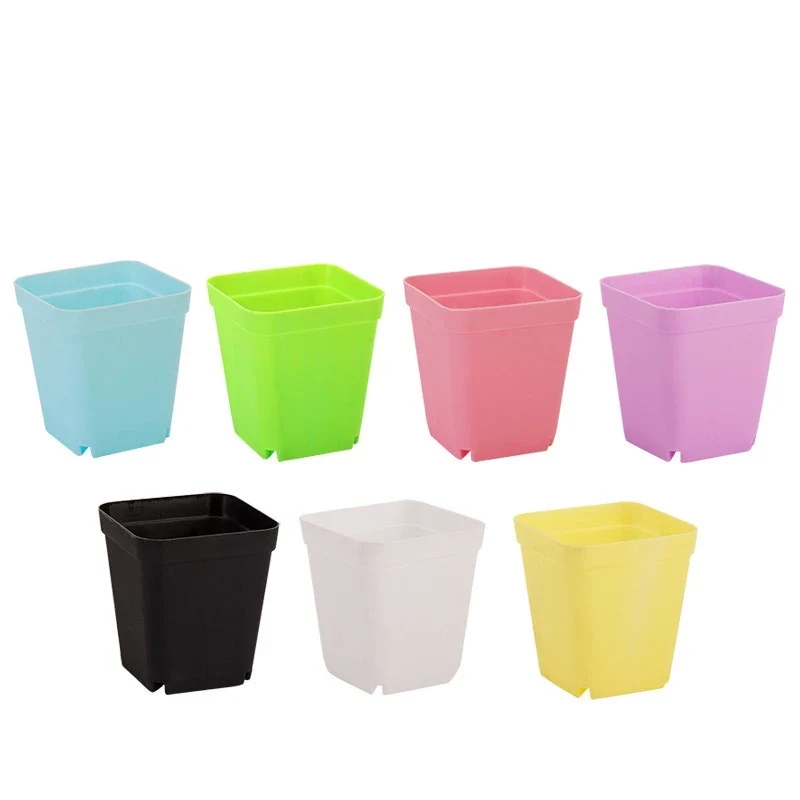 Succulent Plant Pot 1
