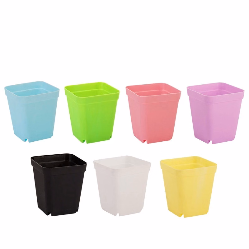 Succulent Plant Pot