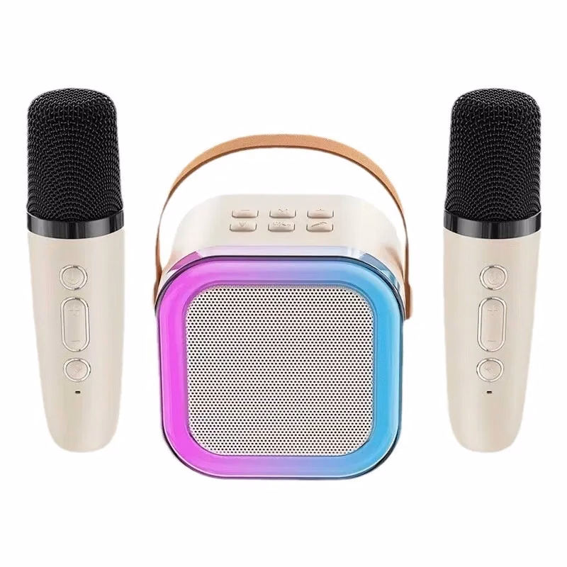 Dual Microphone Karaoke Bluetooth Sound