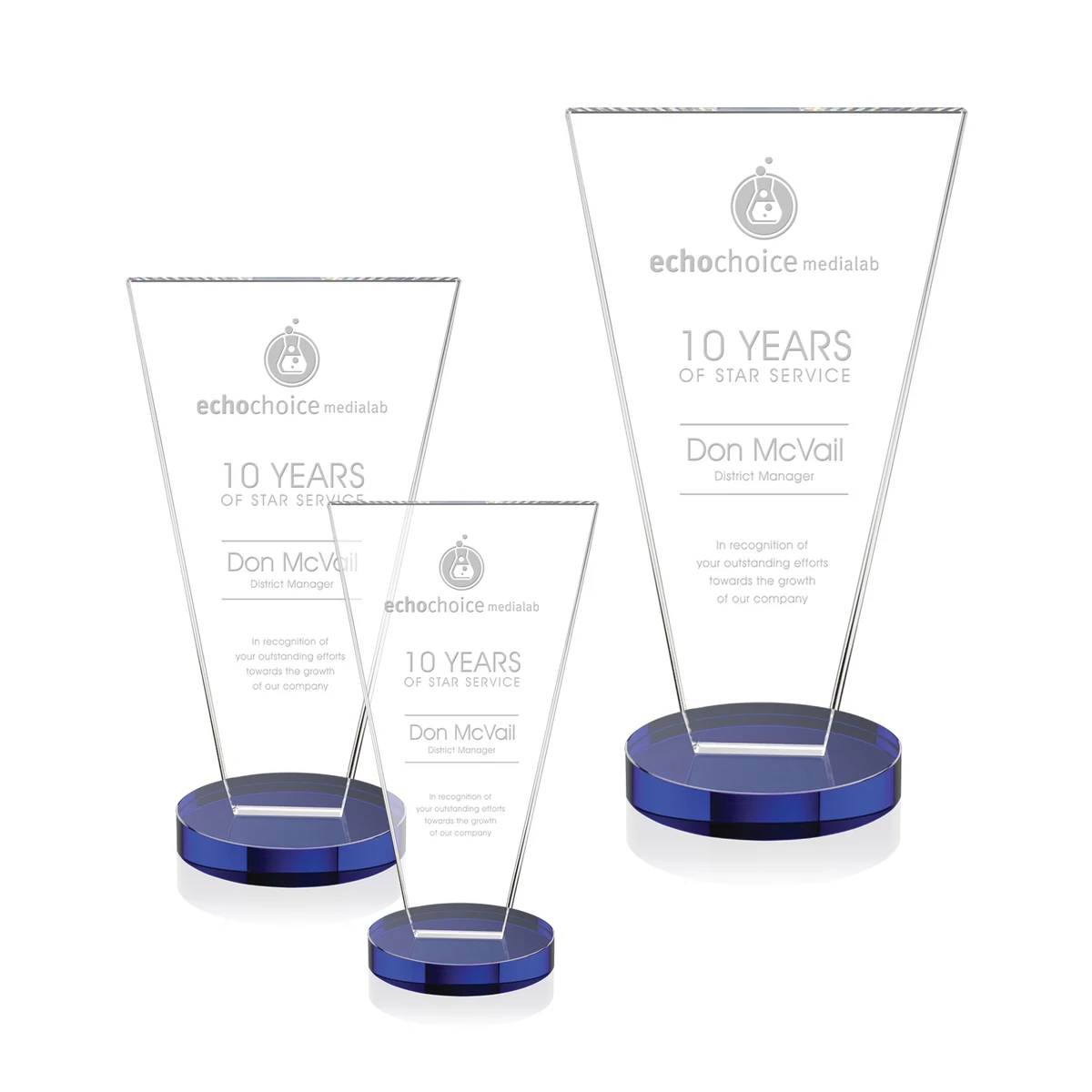 Burney Award - Blue 1