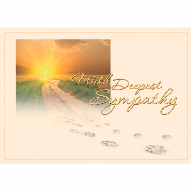 Precious Path Sympathy Cards