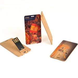 1GB -Eco Friendly Plastic Card USB Drive 1
