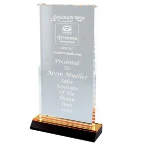 Ice Top Reflection Award (5"x10") 1