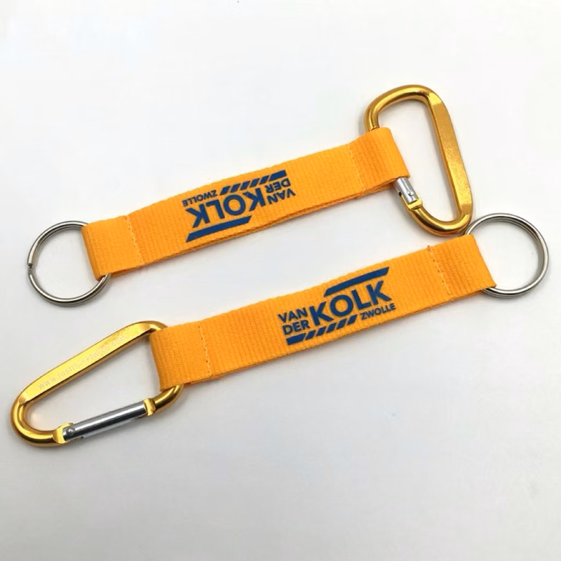 Carabiner Lanyard Keychain