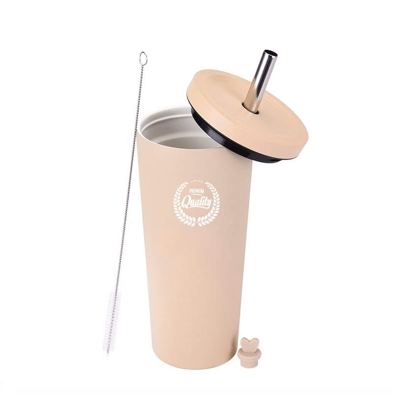 Double Wall Vacuum Straw Insulated Tumbler with Lid