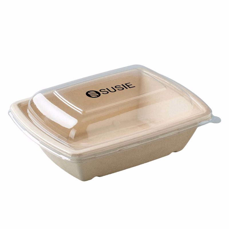 Disposable Paper Lunch Boxes with Clear Lids