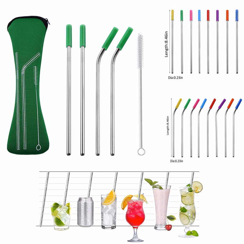 Stainless Steel Straws with Pillow Zip Case