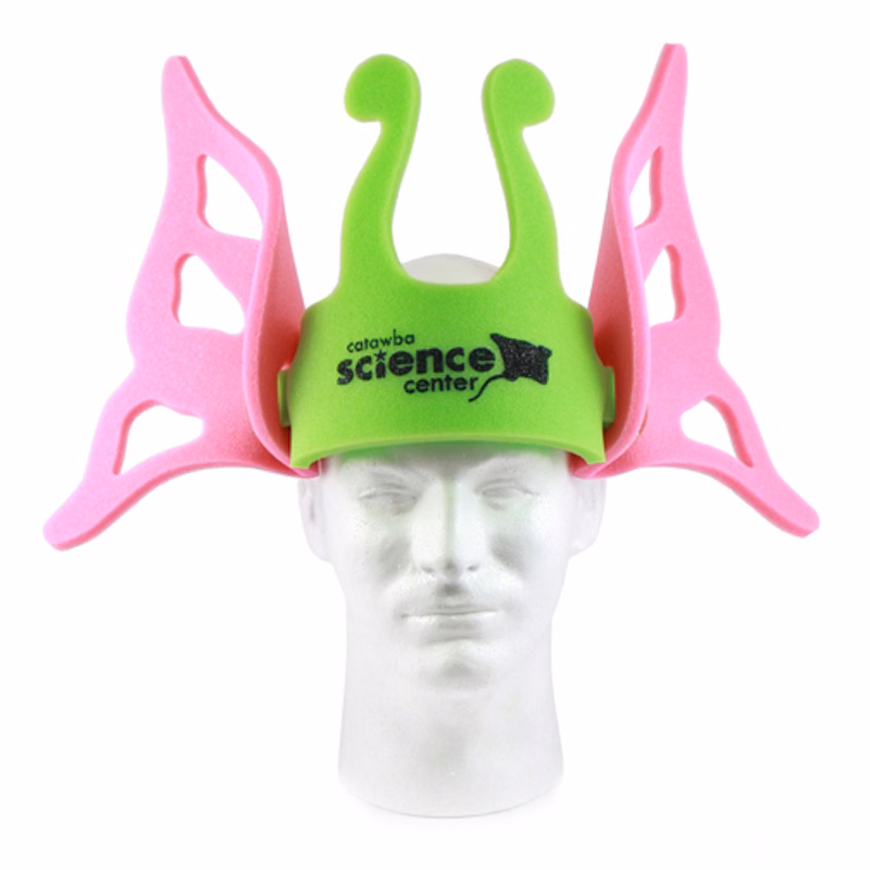 Butterfly Band Hat