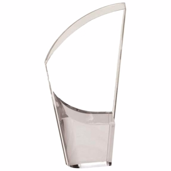 8 1/2" Mirror Lunar Acrylic Award
