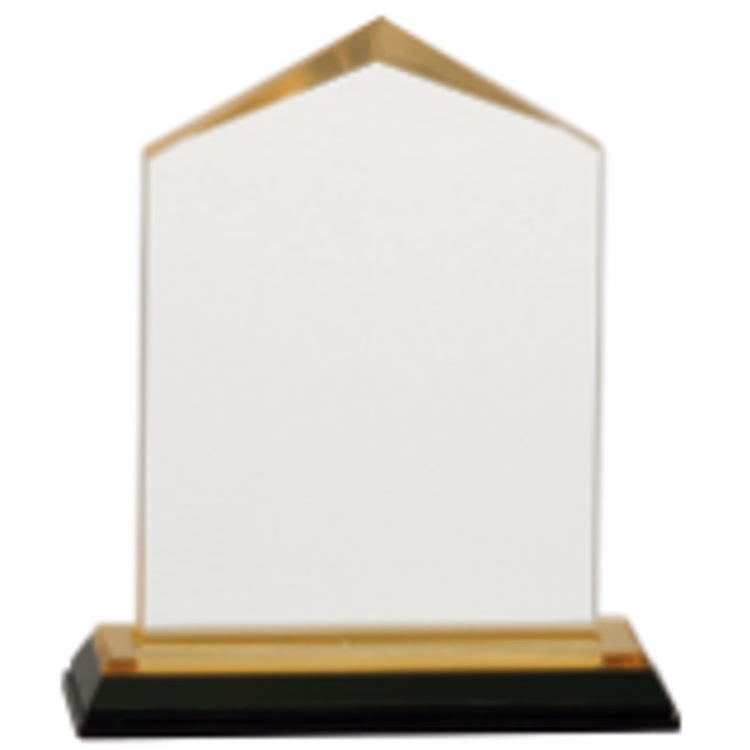 5.5" Gold Jewel Impress Acrylic Award