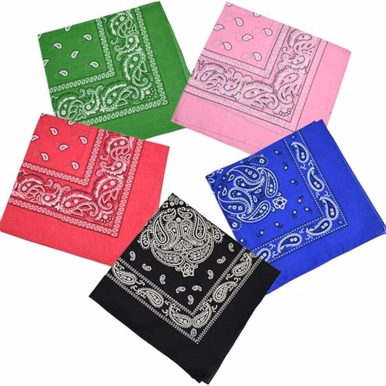 Retro Classic Paisley Scarf