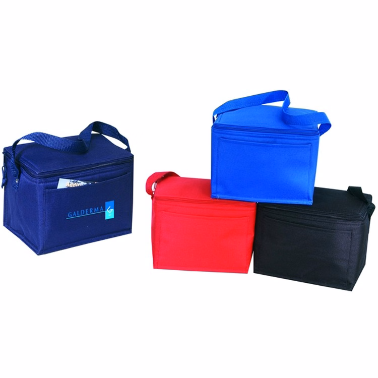 6-Pack Poly Cooler