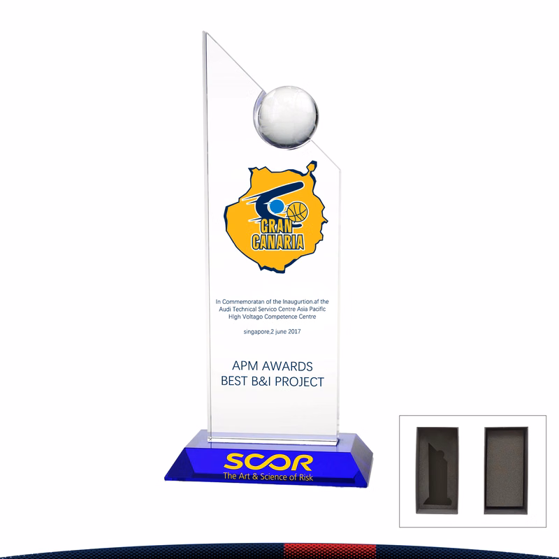 Rplin Pinnacle Globe Award
