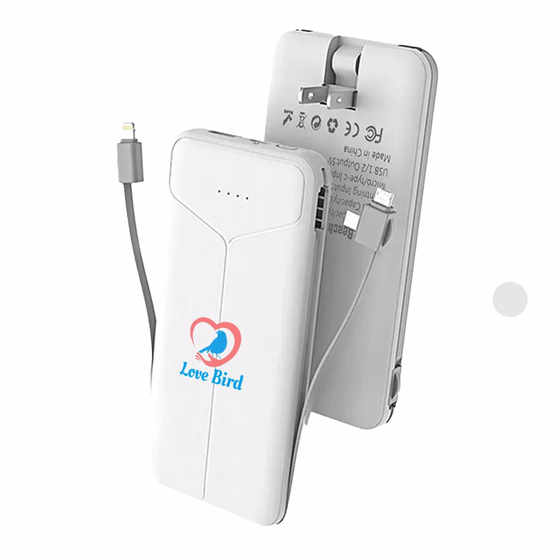 10000mAh High-Capacity Portable Power Bank