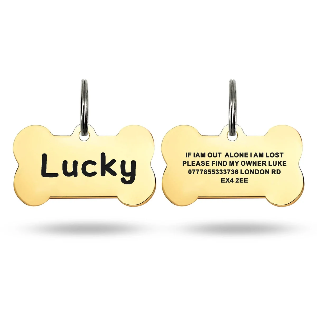 Dog Tag 1
