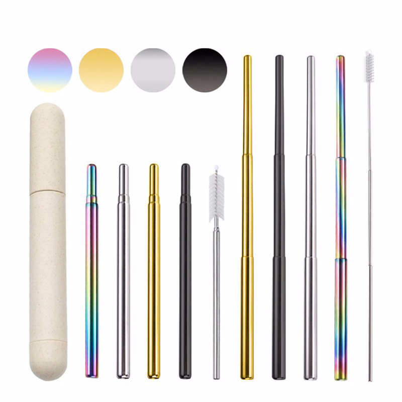 Telescopic Stainless Steel Drinking Straw with Tube Case