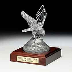 Conquering Eagle 1