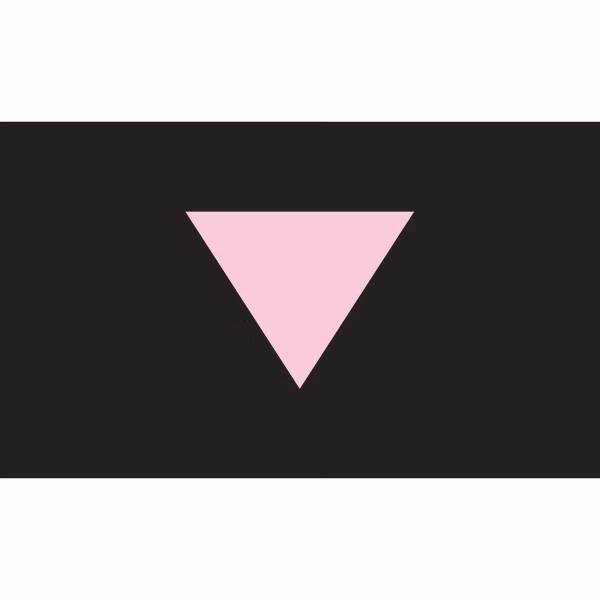 Pink Triangle Motorcycle Flag
