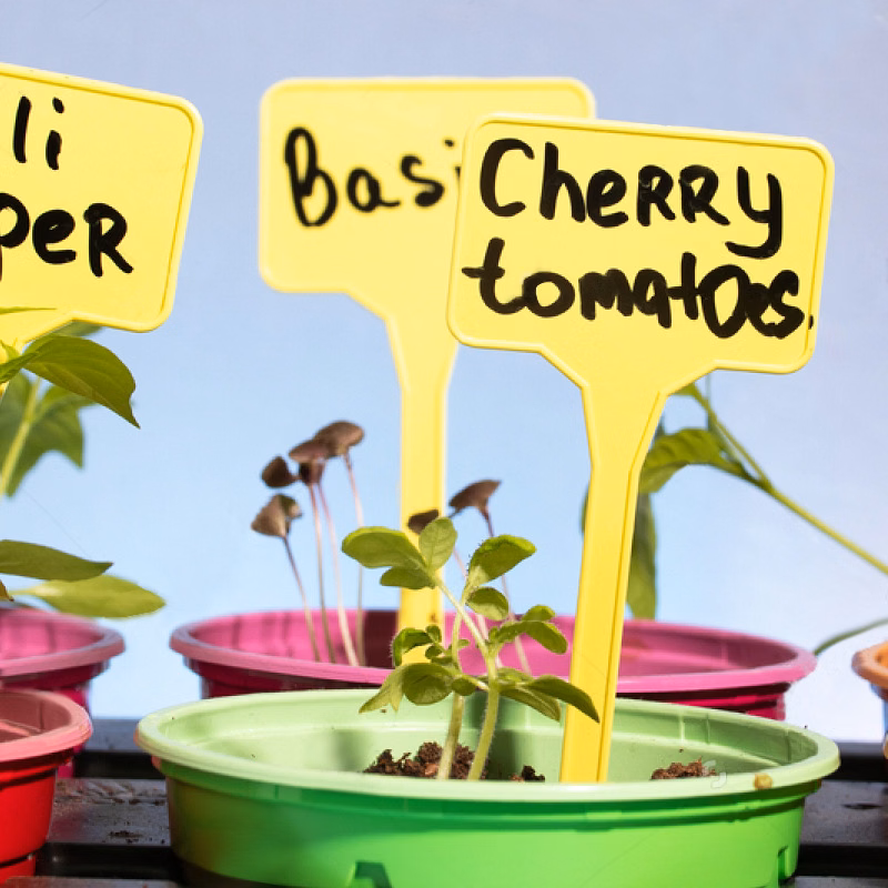Garden Horticultural Plant Labels