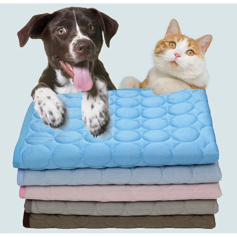 Pet Dog Cat Mat 1