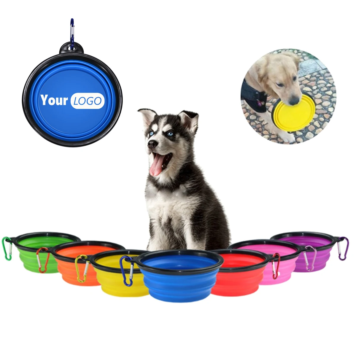 Foldable 12 OZ Dog Bowl for Pets with Carabiner 1