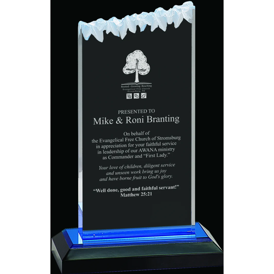 Impress Frosted Acrylic Award 1