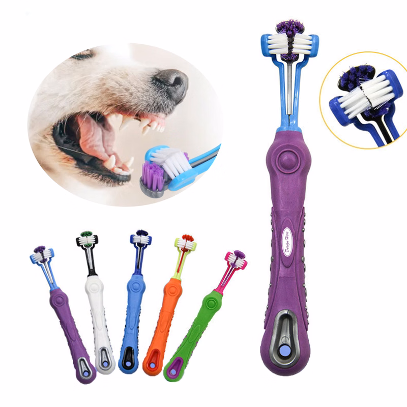 Essential Toothbrush for Pet Dental Health and Hygiene