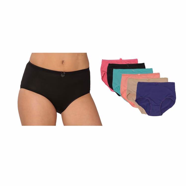 Women's Nylon/Spandex Briefs - Assorted Colors Sizes 5-7