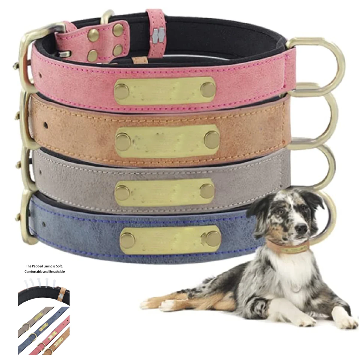 Personalized Nameplate Cat Dog Collar 1