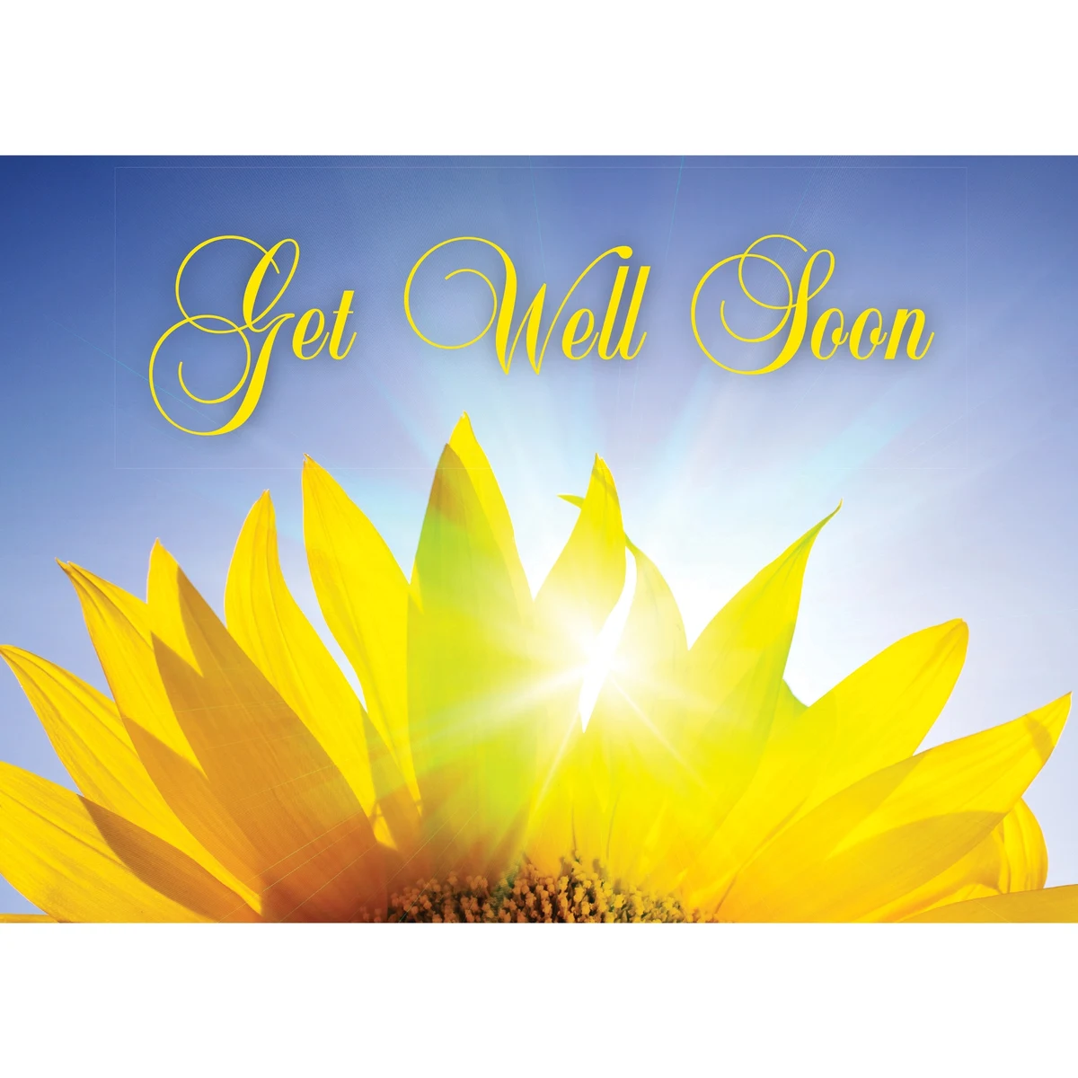 Radiant Petals Get Well Cards 1
