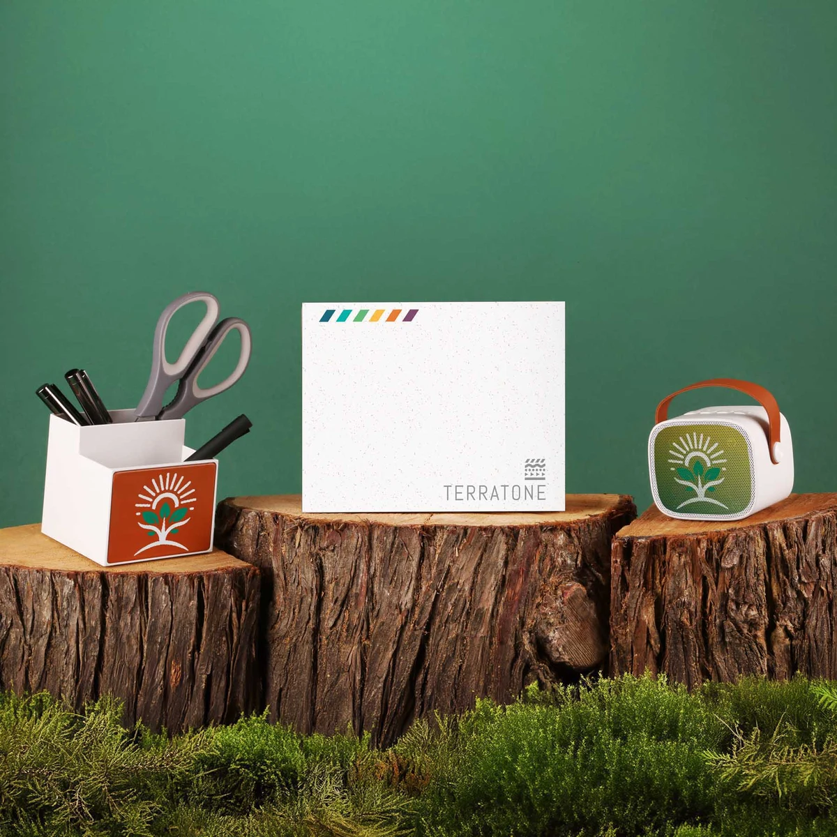 TerraTone™ Tidy Dancer Kit 1