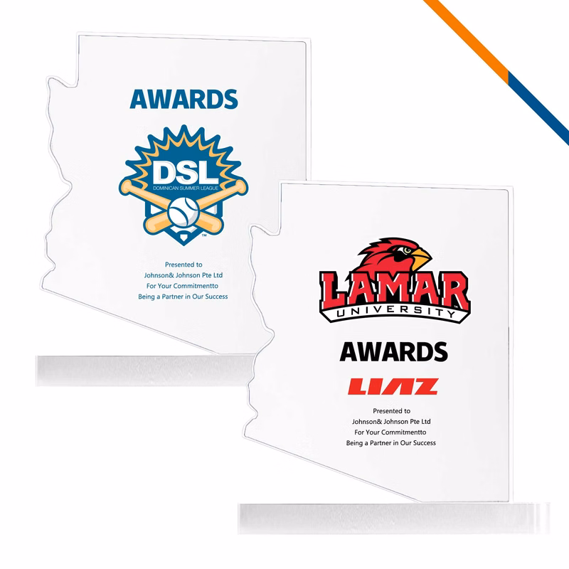 Ricty Arizona Map Award