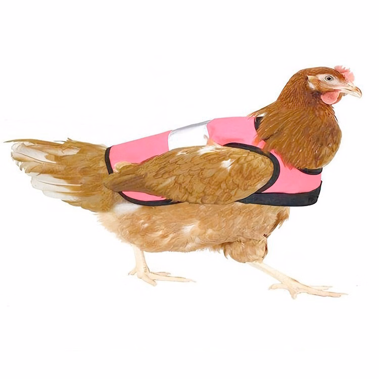 Pet Reflective Vest Chicken Hen Poultry Saddle