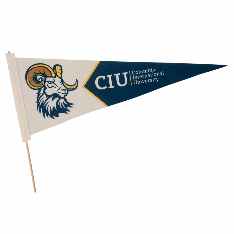 9" x 24" Premium Felt Pennant