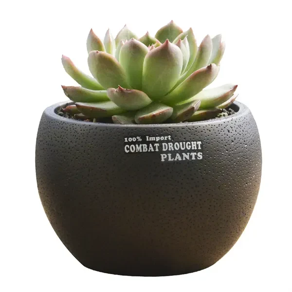 Mini Desktop Succulent Plant Flowerpot 1