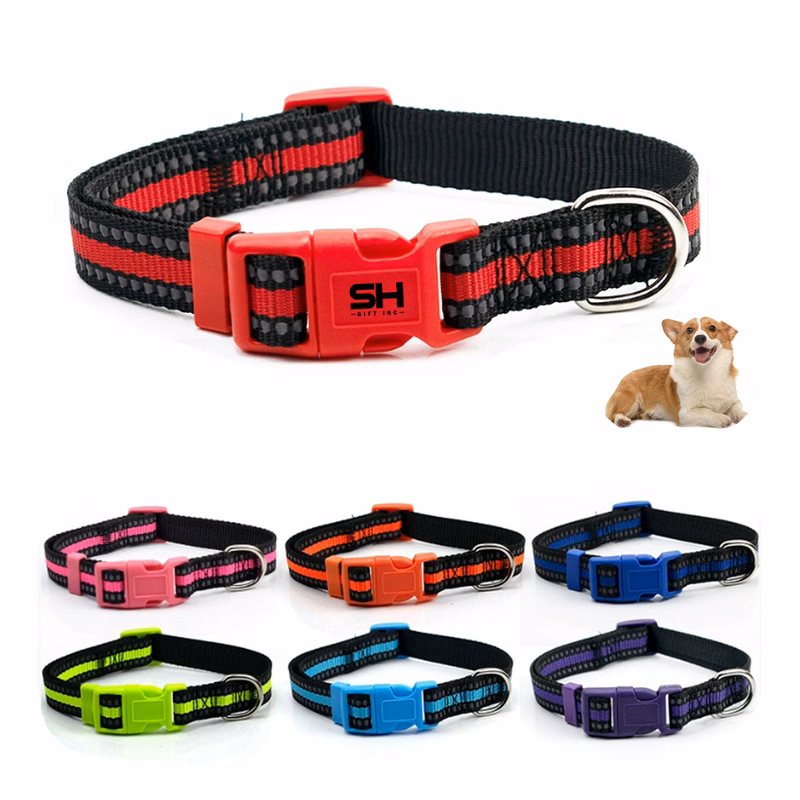 Pet Training Collar