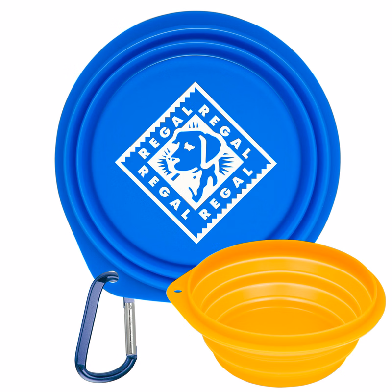 Collapsible Pet Bowl with 2" Carabiner