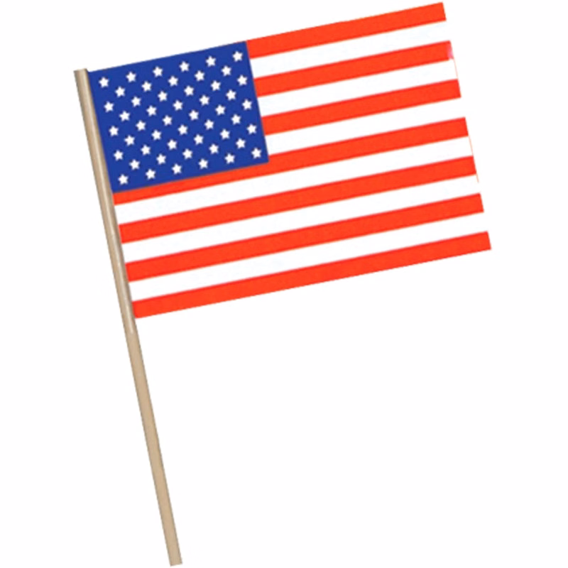 American Flags - 22"
